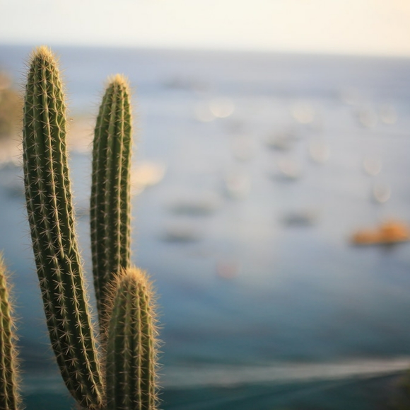 Meet your Posh Ambassador, Jaqueline - Picture 5 of 7